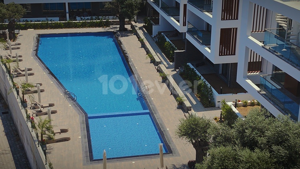 BİR ÖMÜR AYRICALIK