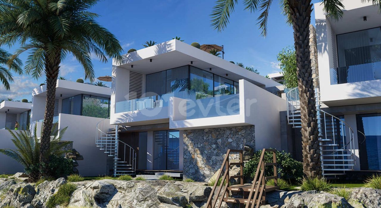 Nature Meets Luxury