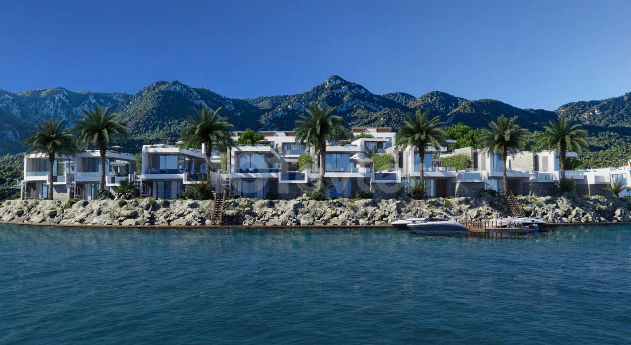 Nature Meets Luxury