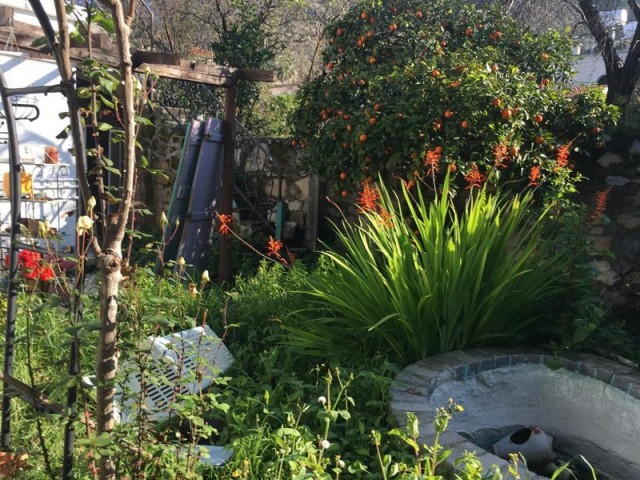 Einfamilienhaus Mieten in Bellapais, Kyrenia