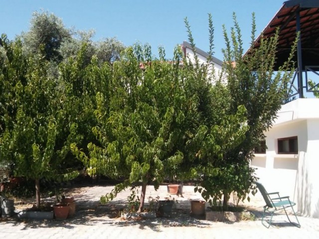 Detached House For Sale in Karakum, Kyrenia