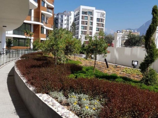 квартира Продается in Zeytinlik, Кирения