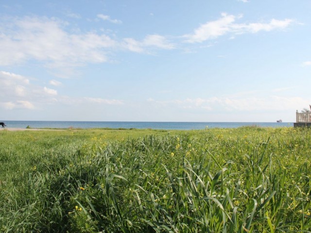 жилая зона Продается in Boğaz, Искеле