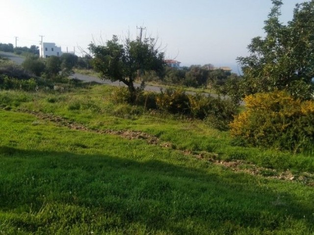  3345.00 M2 LAND FOR SALE İN KYRENİA KAYALAR