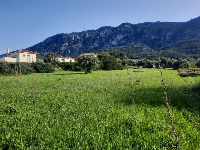 13.500 M2 Grundstück zum Verkauf in Kyrenia LAPTA ** 