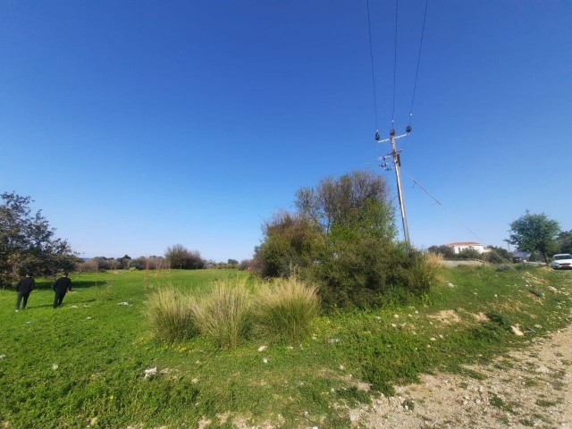 LAND FOR SALE IN KYRENIA LAPTA 13,500 M2