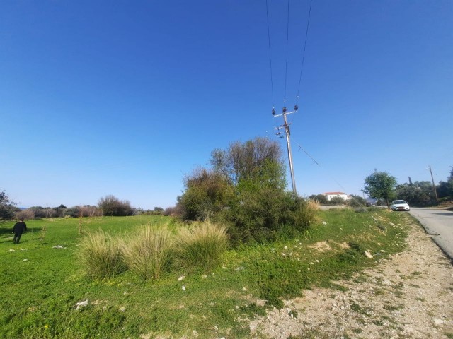 LAND FOR SALE IN KYRENIA LAPTA 13,500 M2