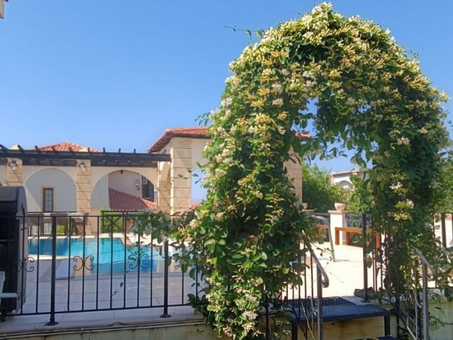 Rent a Mansion with an Indoor Garage with a Private Pool 4+1 in Bellapais in Kyrenia, Cyprus ** 