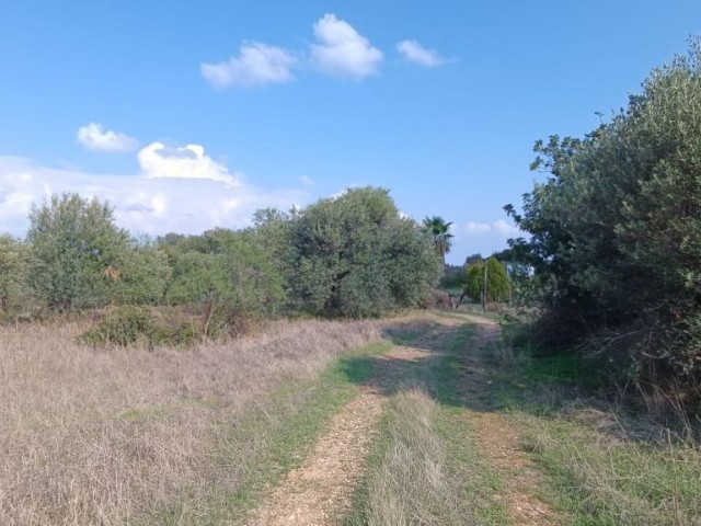 منطقه مسکونی برای فروش in Karşıyaka, گیرنه