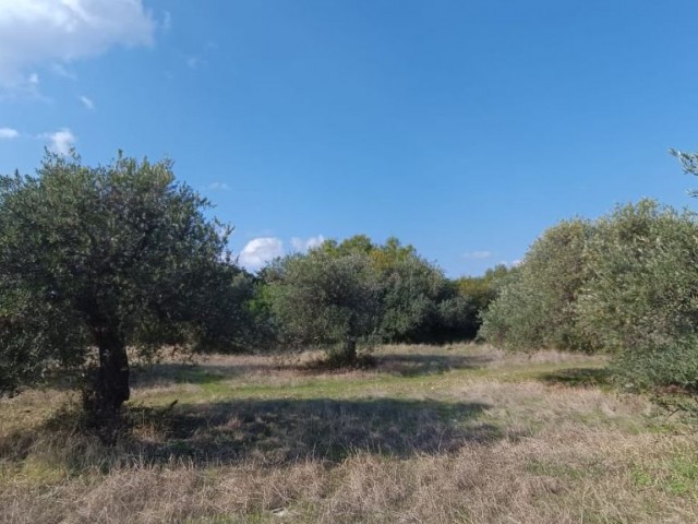 Residential Zoned Plot For Sale in Karşıyaka, Kyrenia