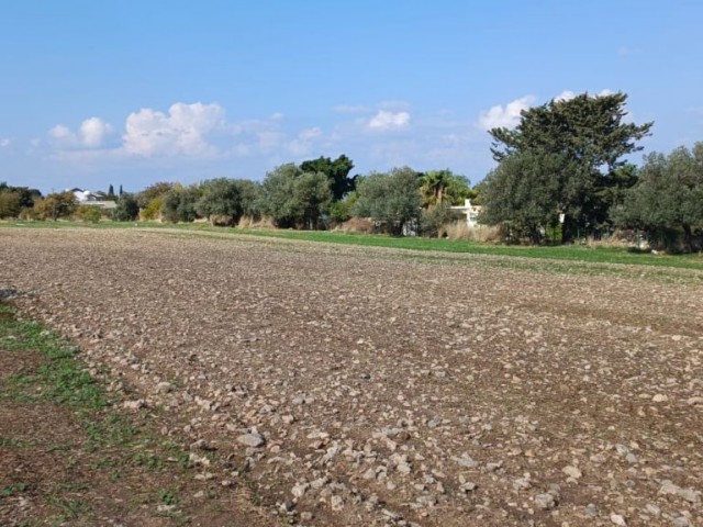 Residential Zoned Plot For Sale in Karşıyaka, Kyrenia