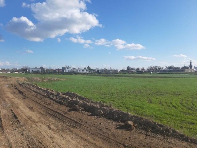 IN HASPOLAT, IN THE VILLAGE, 2 DECORATIONS, 1176 SQUARE FIELDS WITH ROAD, EQUIVALENT COINS, LAND QUALIFIED ** 