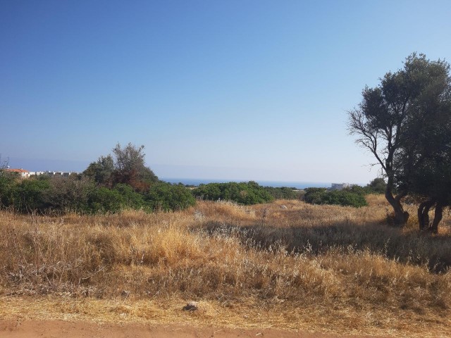 IN CHATALKÖY, IN DER REGION ELE ① HOTEL, IN DER NÄHE DES HOTELS UND DES MEERES, SEHR GUTE LAGE, MIT BLICK AUF DIE BERGE, DAS MEER UND DIE NATUR, 6 HEKTAR 3 HÄUSER GROß, IMARA OFFENES FELD ** 