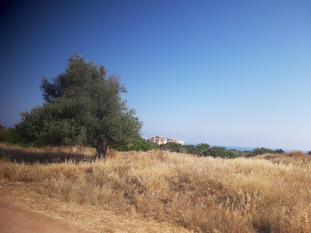 IN CHATALKÖY, IN DER REGION ELE ① HOTEL, IN DER NÄHE DES HOTELS UND DES MEERES, SEHR GUTE LAGE, MIT BLICK AUF DIE BERGE, DAS MEER UND DIE NATUR, 6 HEKTAR 3 HÄUSER GROß, IMARA OFFENES FELD ** 