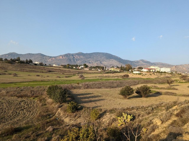 IN DKMEN, JUST SOUTH OF THE VILLAGE CENTER, IN A VERY GOOD LOCATION, 58,000 STG. PER ACRE, 10 ACRES IN SIZE, OPEN TO DEVELOPMENT, WITH ROAD, WATER AND ELECTRICITY, SUITABLE FOR ALL KINDS OF CONSTRUCTION SUCH AS HOUSING, TRADE, OFFICE, TOURISM