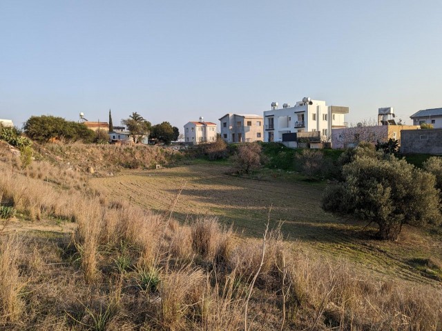 IN DKMEN, JUST SOUTH OF THE VILLAGE CENTER, IN A VERY GOOD LOCATION, 58,000 STG. PER ACRE, 10 ACRES IN SIZE, OPEN TO DEVELOPMENT, WITH ROAD, WATER AND ELECTRICITY, SUITABLE FOR ALL