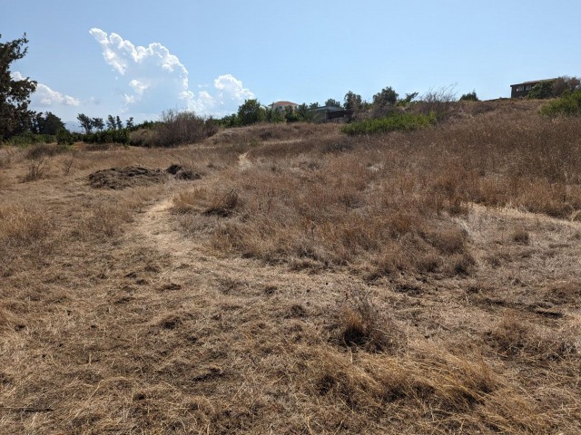 IN LEFKE GAZİVEREN, MIT TÜRKISCHEM KOÇANLI, 5 DONUM, 1 EVLEK, 319 QUADRAT, OFFEN FÜR ENTWICKLUNG, SIND DIE BESTIMMUNGEN VON KAPITEL 96 ANWENDBAR, 500 METER VOM MEER ENTFERNT, MIT STRASSEN-, WASSER- UND ELEKTRISCHER INFRASTRUKTUR