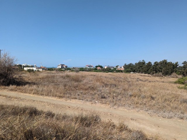 IN LEFKE GAZİVEREN, WITH TURKISH KOÇANLI, 5 DÖNÜM, 1 EVLEK, 319 SQUARE SQUARE, OPEN FOR DEVELOPMENT, THE PROVISIONS OF CHAPTER-96 ARE APPLICABLE, 500 METERS FROM THE SEA, WITH ROAD, WATER AND ELECTRICAL INFRASTRUCTURE