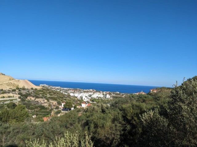 IN ALSANCAK, 1500 METER VOM MEER ENTFERNT, AUF HOHEM HANG, MIT EINEM EINZIGARTIGEN MEER- UND BERGBLICK, MIT EINEM BLICK, DER NIEMALS GESCHLOSSEN IST, EIN GRUNDSTÜCK MIT 2 ERKLÄRUNGEN, GEEIGNET FÜR DEN BAU VON LUXUSVILLEN.