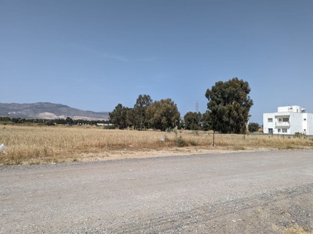 INVESTMENT LAND OF 632 SQUARE METERS IN HASPOLAT, IN THE NORTHERN REGION OF THE VILLAGE, LOCATED CLO