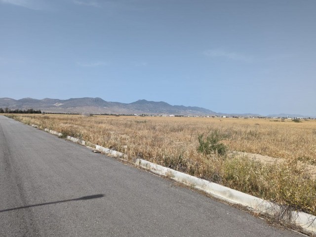 IN BALIKESİR, 5 MINUTES TO ERCAN AIRPORT. LANDS FOR SALE IN A VERY GOOD LOCATION, PARCELATION COMPLETED, ROADS, WATER AND ELECTRICITY READY, AVERAGE SIZE OF 700 SQUARE METERS