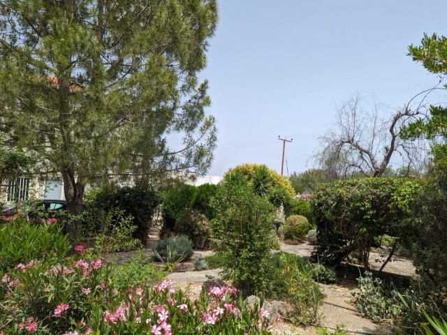 IN GIRNE BEYLERBEYİ (BELLAPAİS), IN A GREAT LOCATION WITH A VERY HIGH PREFERENCE RATE, BUILT ON A LARGE PLOT OF 1445 SQUARE METERS WITH EQUIVALENT KOÇANLI, WITH 5X10 SWIMMING POOL, CENTRAL HEATING SYSTEM INCLUDING HOBBERS FINISHED, AIR CONDITIONED, FULLY NEWLY FURNISHED, WITH AN ACTIVE WATER WELL IN