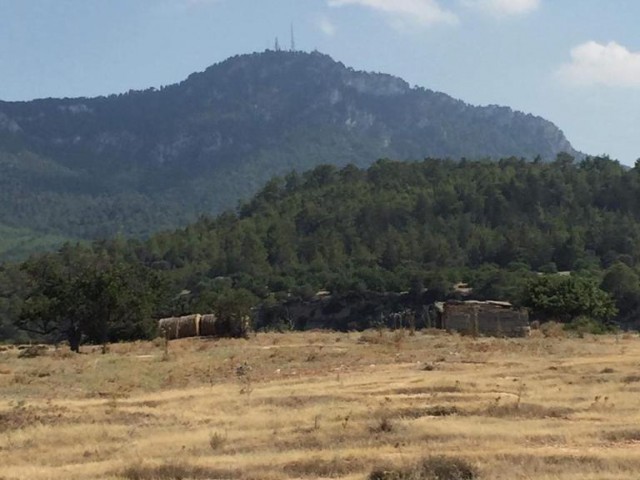 Elm field with sea and mountain views. The view from the cliff at the back is not interrupted ** 