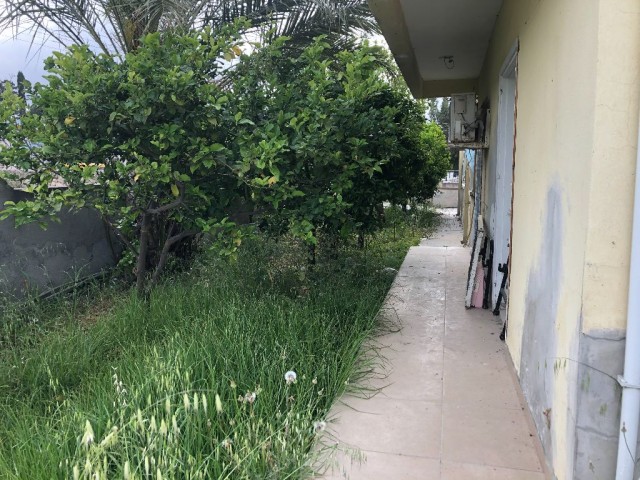 Einfamilienhaus Mieten in Karakum, Kyrenia