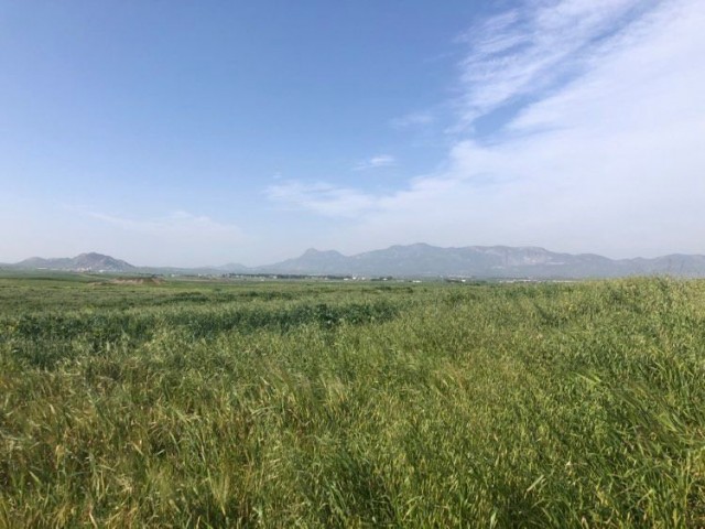 Field For Sale in Türkeli, Nicosia