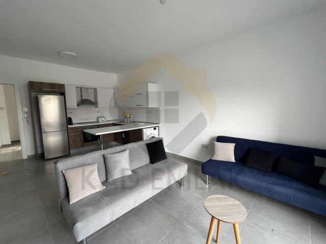 2+1 Flat for Rent in Ortakoy Area