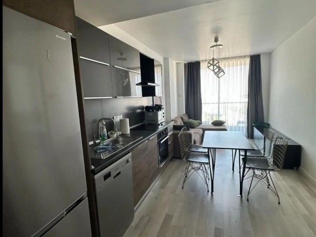 Northernland Premier fully furnished 1+1 flat for rent