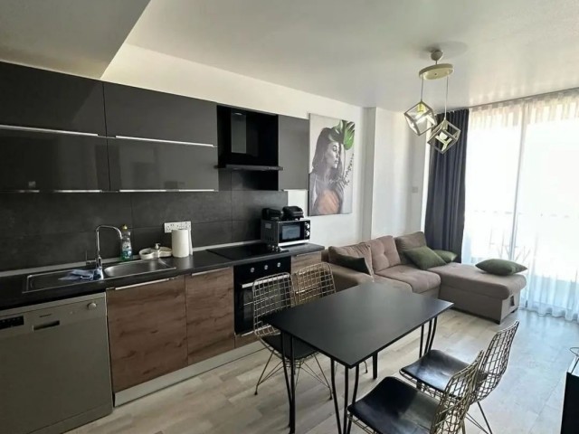 Northernland Premier fully furnished 1+1 flat for rent