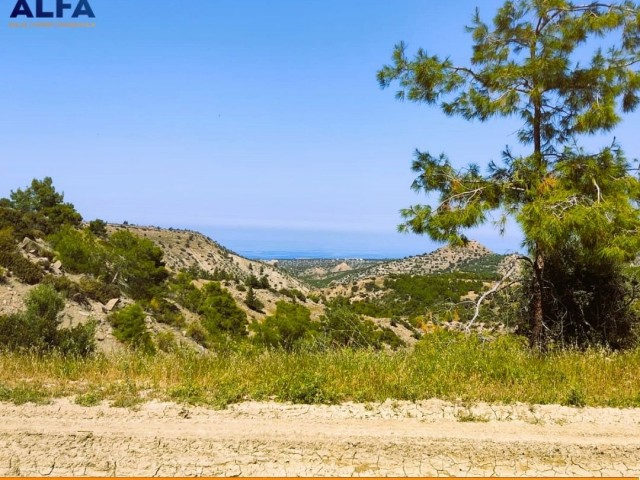 Türkische Kokanli Land mit herrlichem Berg-und Meerblick in Kyrenia Bashparmak ** 