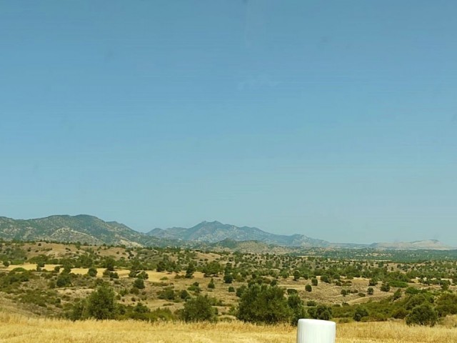 Investment Land in the Mountain Foothills of the Village of Ergenekon with Turkish Coachmen ** 