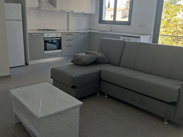 Flat To Rent in Küçük Kaymaklı, Nicosia