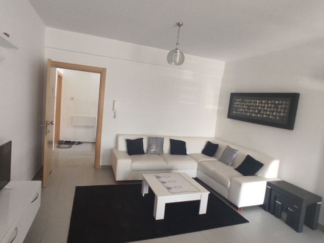 2+1 Furnished Flat in Hamitköy