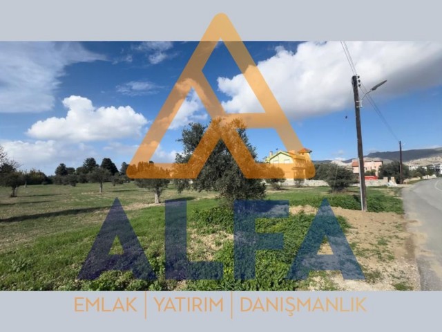 Equivalent Cob Land with 45 Olives in a Central Location in Nicosia Değirmenlik