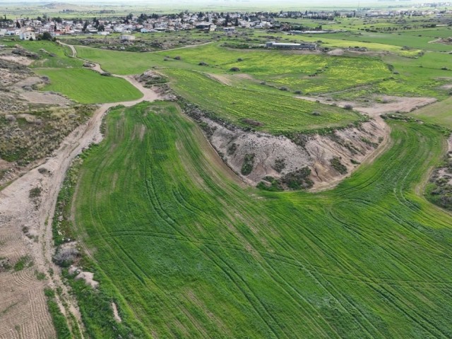 8 Hektar türkisches Widderland stehen zum Tausch in Serdarlı zur Verfügung, 250 m von der Siedlung entfernt