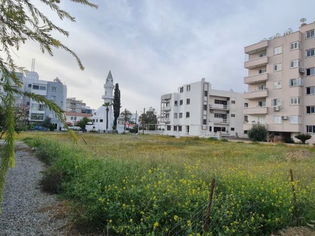 3+1 sehr geräumige Wohnung zur Miete in Kumsal