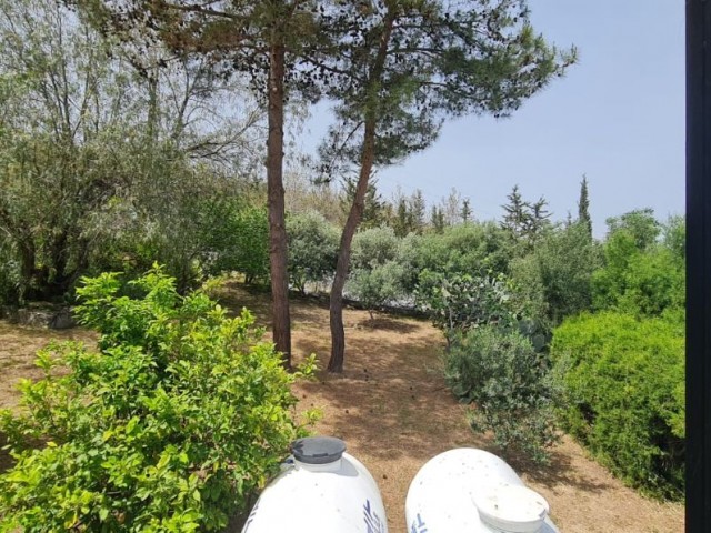 Çatalköy'De Sessiz Sakin Site içerisinde 5 yatak  Odalı Bahçeli Villa