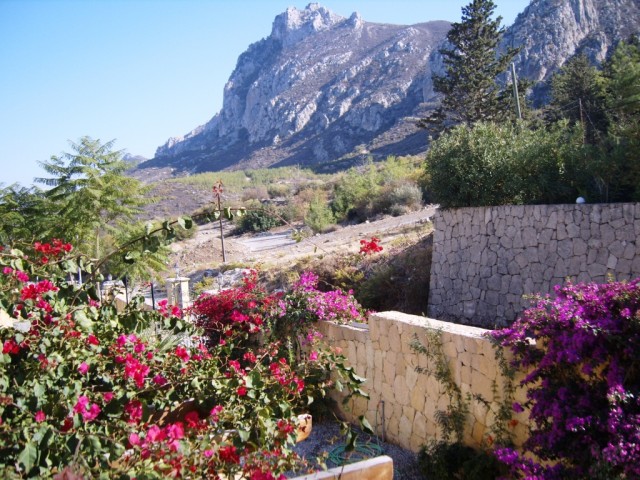 Villa For Sale in Karmi, Kyrenia