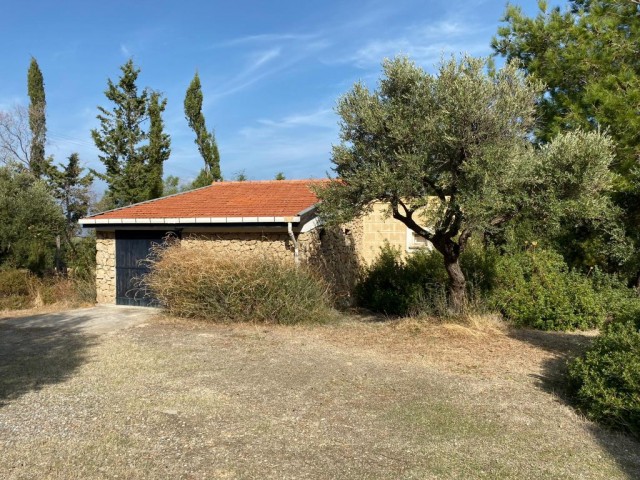 Villa Kaufen in Zeytinlik, Kyrenia