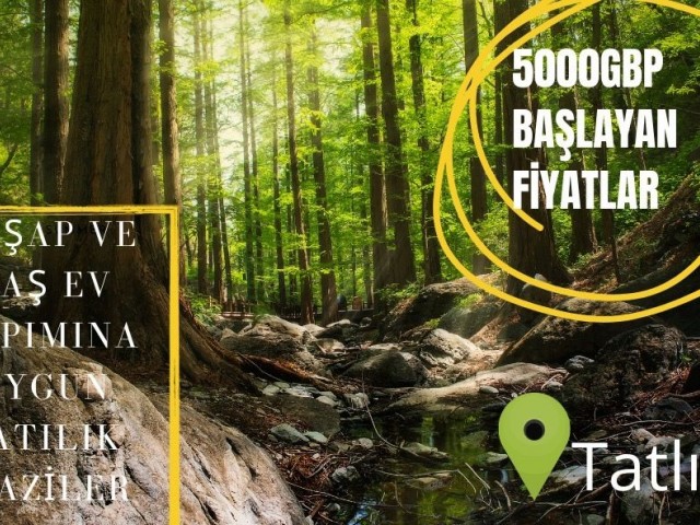 Land For Sale Suıtable For Eco Building in Rich Mountain Forestry Area with Old Olive and Pine Trees *MIN  DONNUMS 