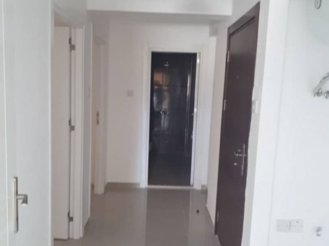 2+1 furnished flat for rent  behind Lemar 