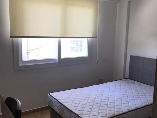 2+1 furnished flat for rent  behind New Lemar 