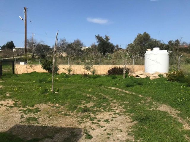 Im Dorf DIPKARPAZ auf einem Grundstück von 1030 m2, in dem etwa 100 Bäume gepflanzt wurden, ist ein wunderbares Haus aus gelbem Stein ** 