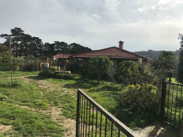 Im Dorf DIPKARPAZ auf einem Grundstück von 1030 m2, in dem etwa 100 Bäume gepflanzt wurden, ist ein wunderbares Haus aus gelbem Stein ** 