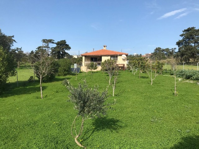 Im Dorf DIPKARPAZ auf einem Grundstück von 1030 m2, in dem etwa 100 Bäume gepflanzt wurden, ist ein wunderbares Haus aus gelbem Stein ** 