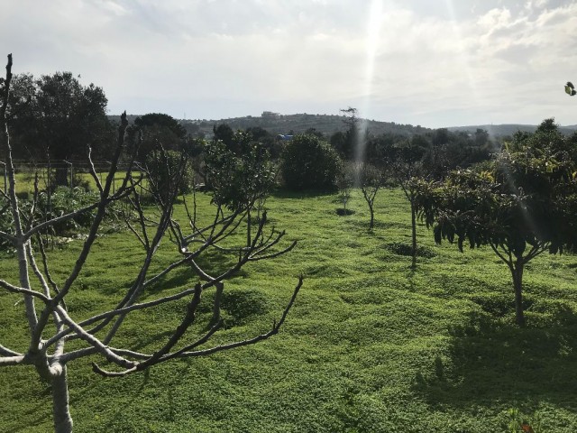 Im Dorf DIPKARPAZ auf einem Grundstück von 1030 m2, in dem etwa 100 Bäume gepflanzt wurden, ist ein wunderbares Haus aus gelbem Stein ** 