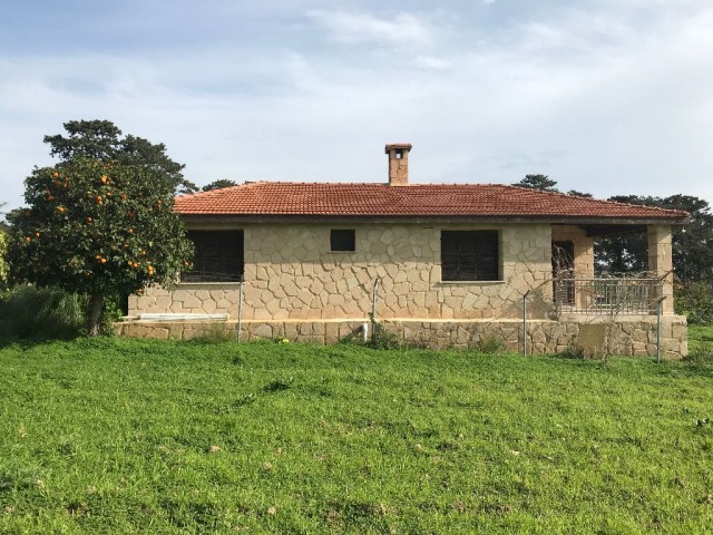 Im Dorf DIPKARPAZ auf einem Grundstück von 1030 m2, in dem etwa 100 Bäume gepflanzt wurden, ist ein wunderbares Haus aus gelbem Stein ** 